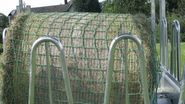 Slow Feeding Net