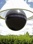 323510