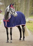 RugBe Fleece Covalliero Collection