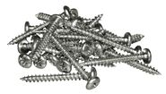44393_1001
