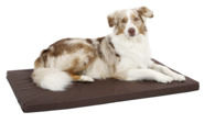 Pet Cushion Henry