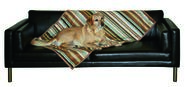 Dog Blanket Calimero