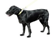 Collars/Leashes/Harness (9)