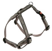 Harness Shine Style