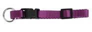 Collier Miami