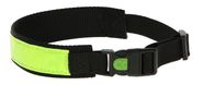 Reflective Collar