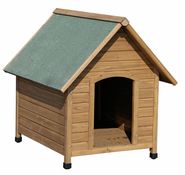 Dog House