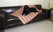 Dog Blanket Saddy