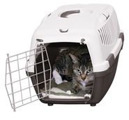 Pet Bed Cleo