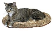 Grass bed