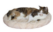 Cosy Bed