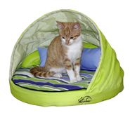Sleeping Shell Mahita