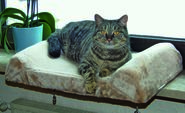 Window bed board