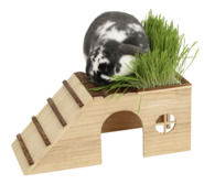 Rodent cabin with ramp Nature