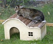 Rodent cabin with gently curved roof Nature