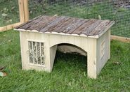 Rodent cabin with Hay Rack Nature