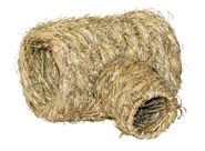 Hamster Gras Tube