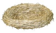 Grass bed