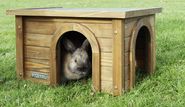 Rodent Cabin