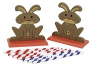 Agility Rodent Obstacles