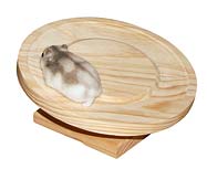 Hamster Wheel