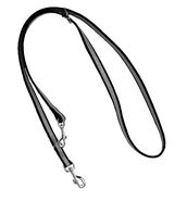 Leash reflective