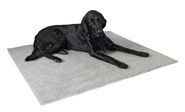 Anti-slip – Thermo Carpet
