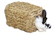 Gras House