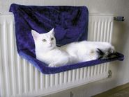 Cat Hammock Paradies