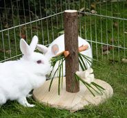 Feed Tree Nature