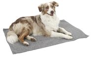 Anti-Slip Rug