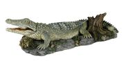 Krokodil mit Luftpumpenanschluss