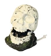 Totenkopf