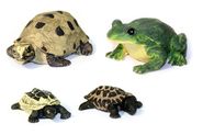 Frösche/Schildkröten