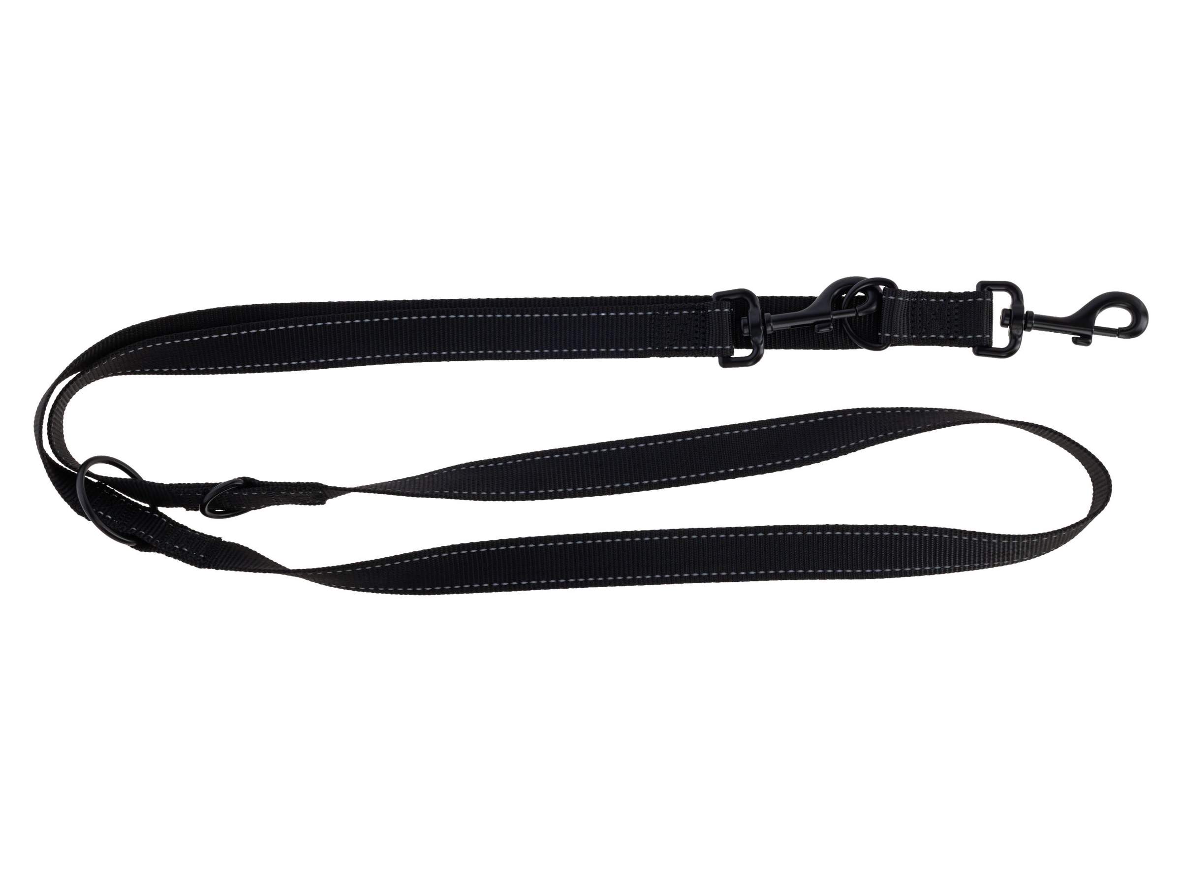 Laisse longue pour chien Dallas - Image 1