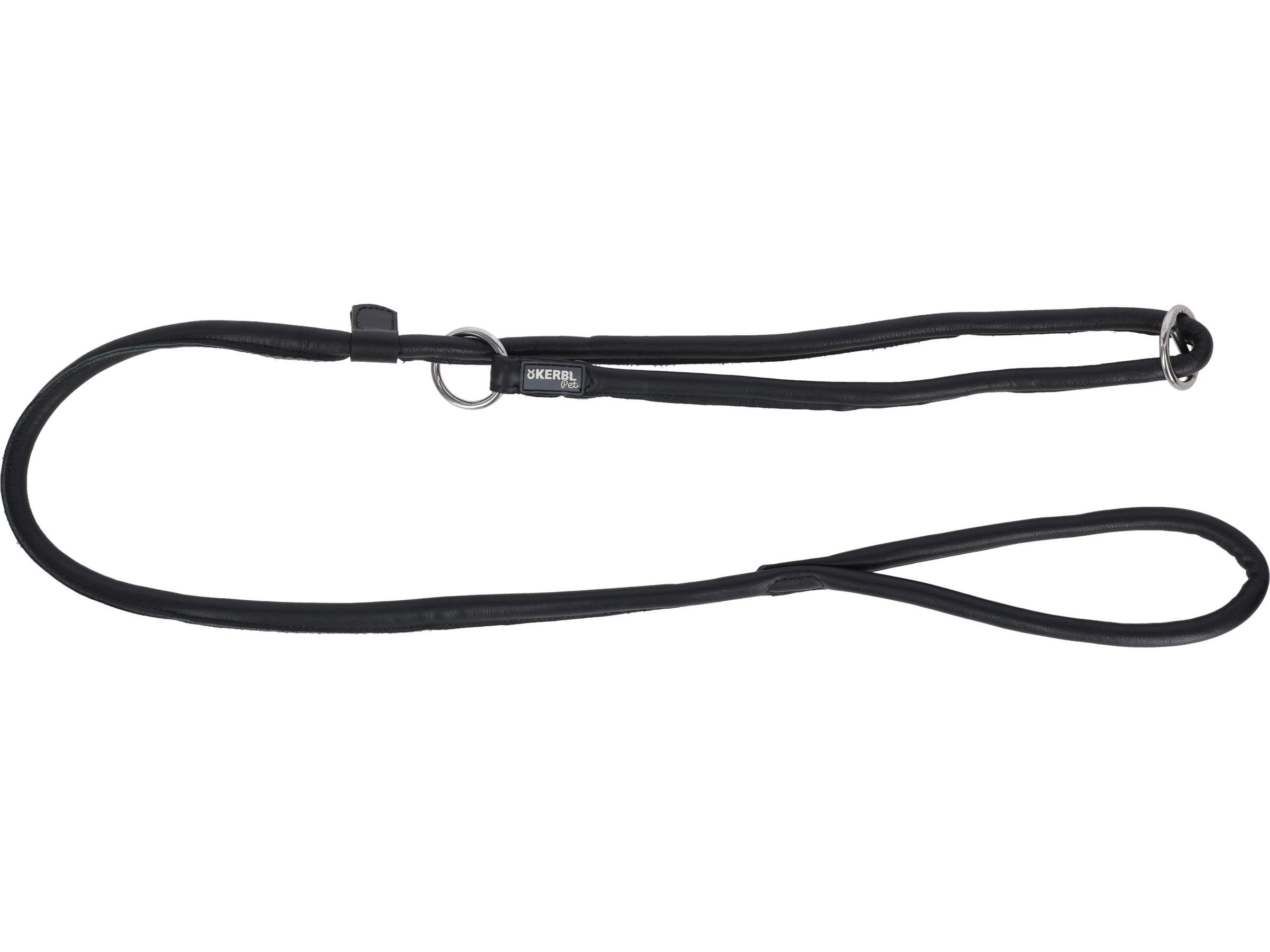 Laisse avec collier intégré pour chien Roma - Image 1