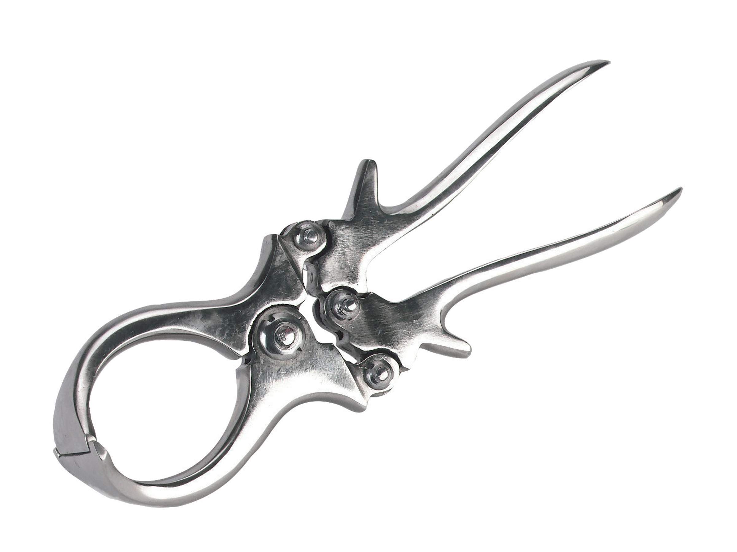 Pince à castrer pour agneaux - Image 1