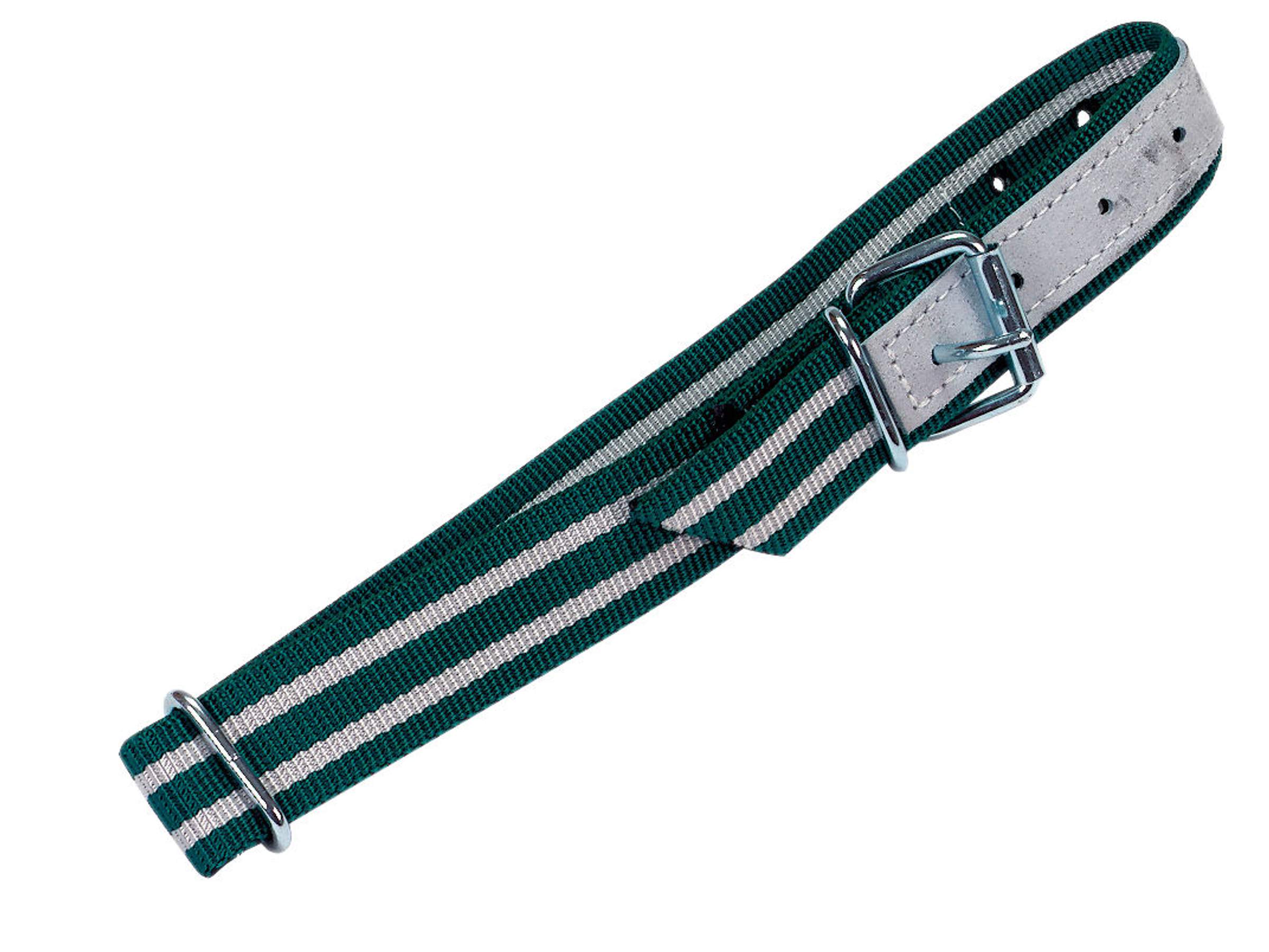 Collar with Oval Link - Image 1