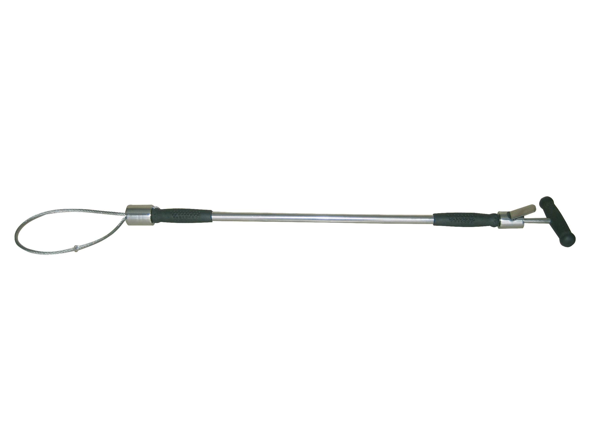 Lasso pour porcs - Image 1