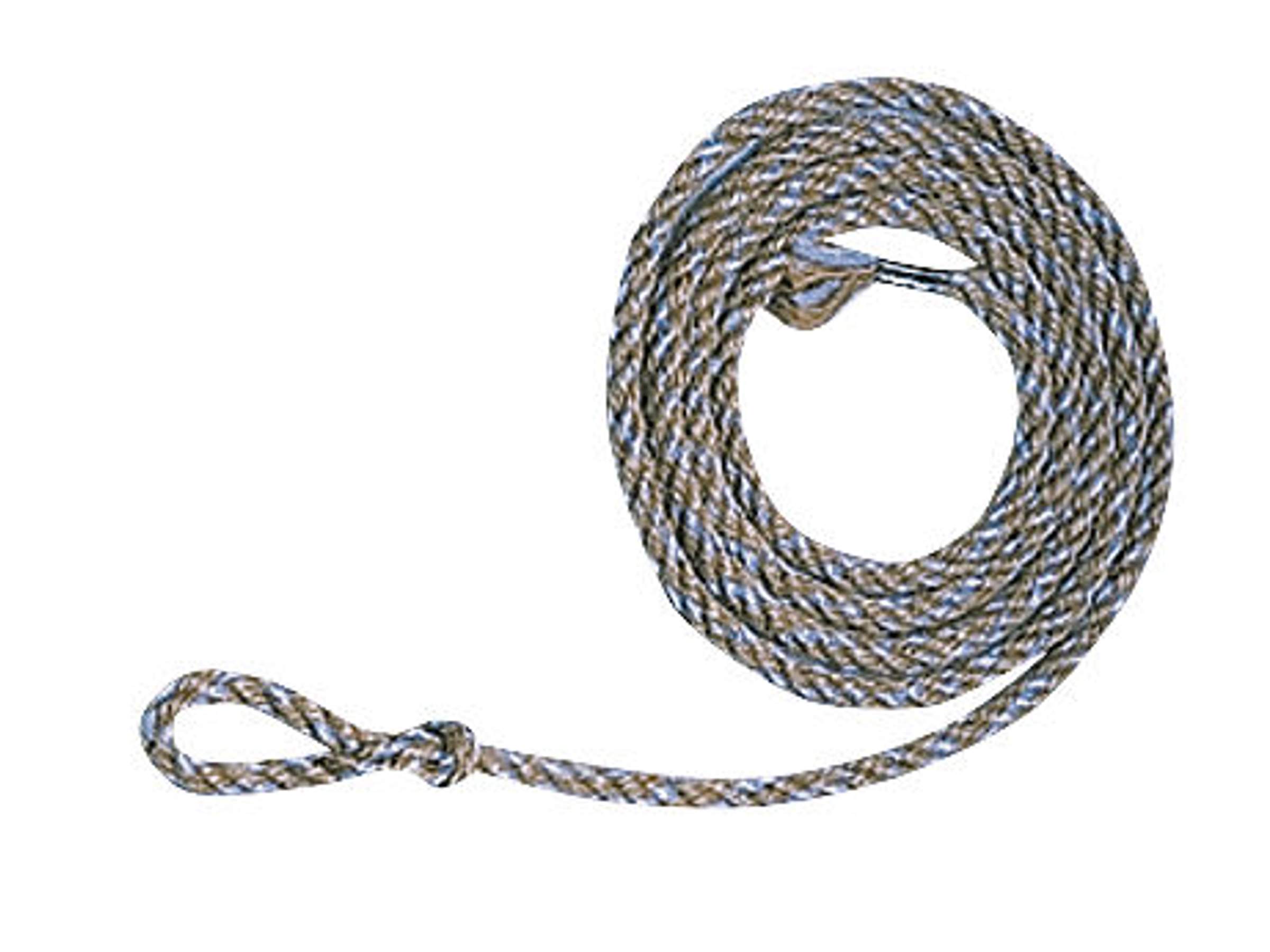 Longe pour veau - Image 1