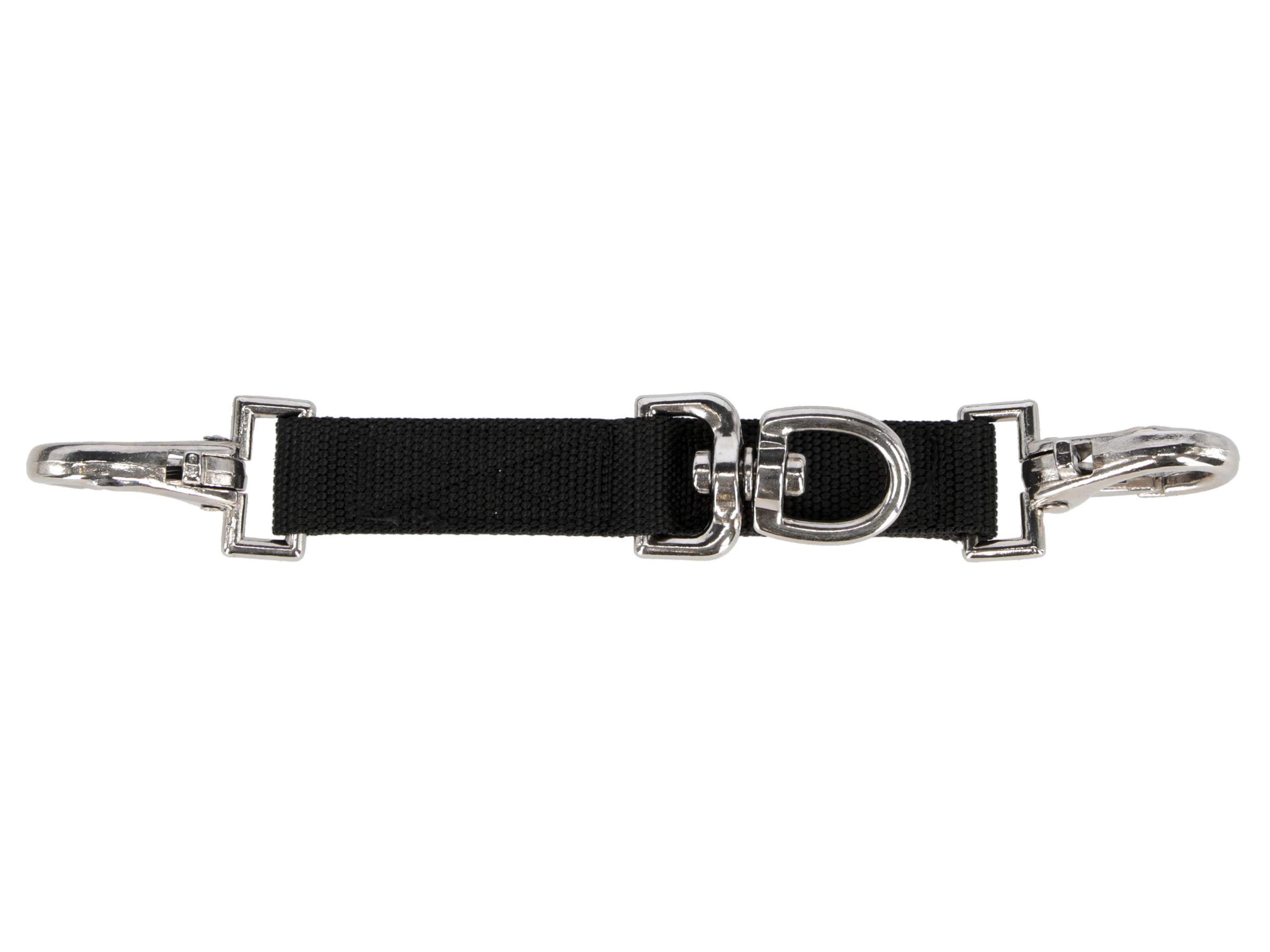 Lunging Attachment - Image 1