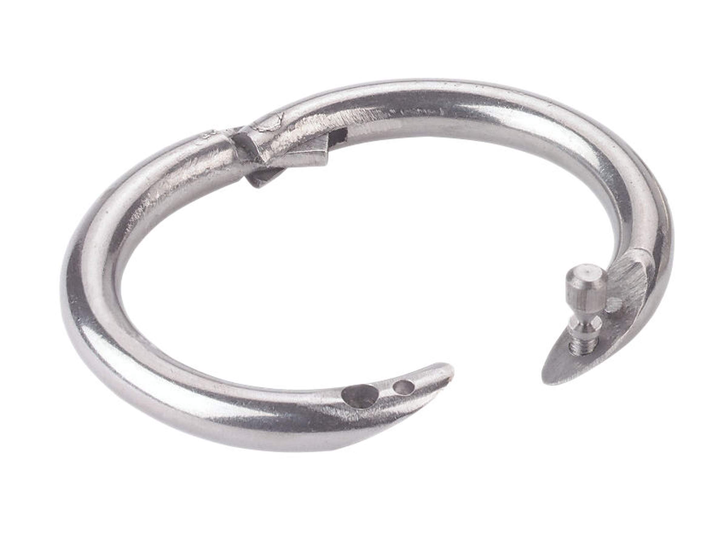 Anneau taureau Top Quality - Image 1