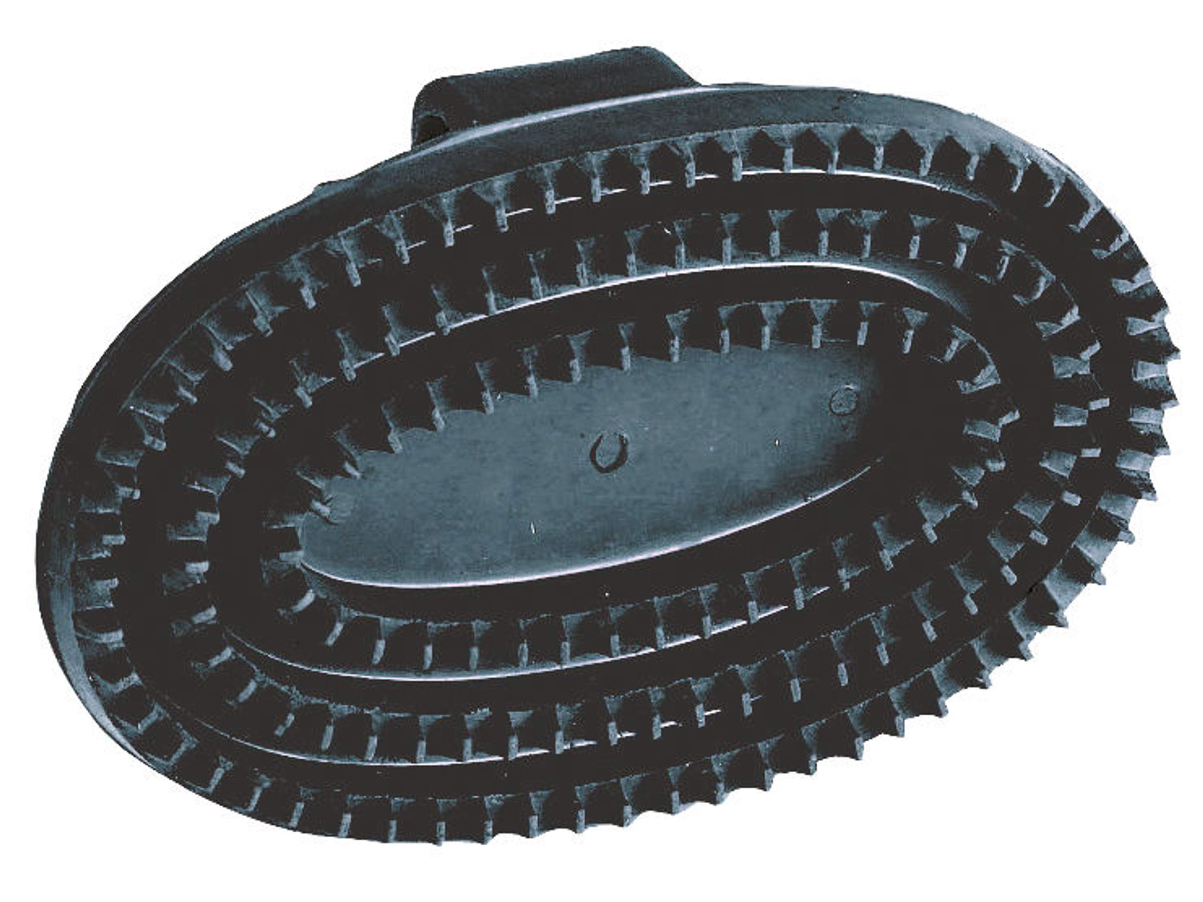 Étrille ovale - Image 1