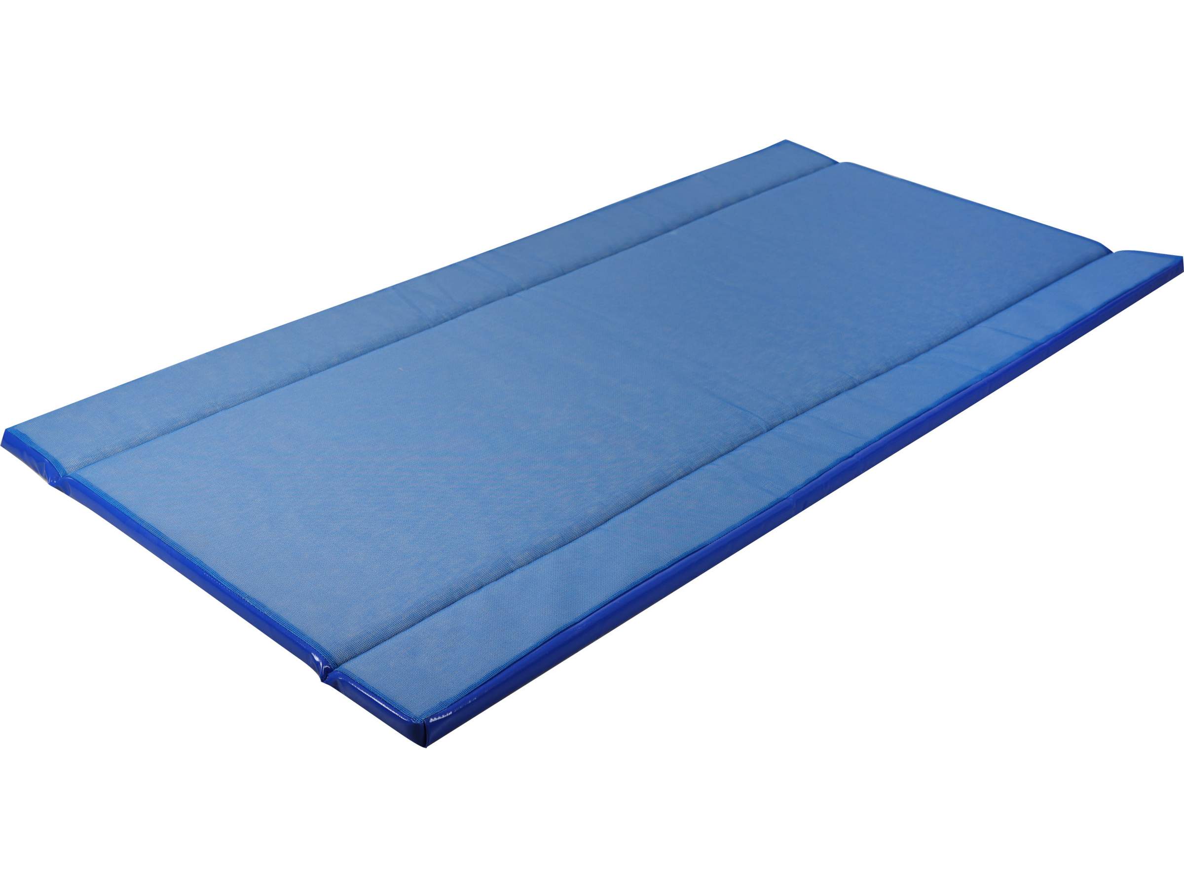 Tapis désinfectant Standard - Image 1