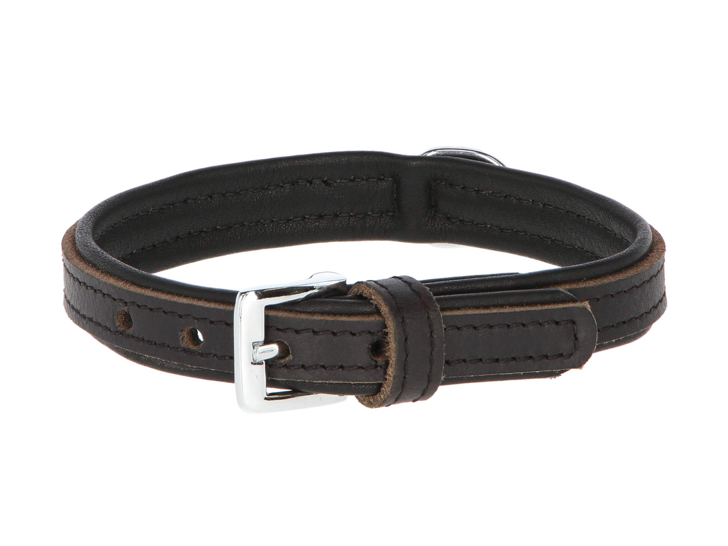 Collier pour chien Vegas HQ - Image 1