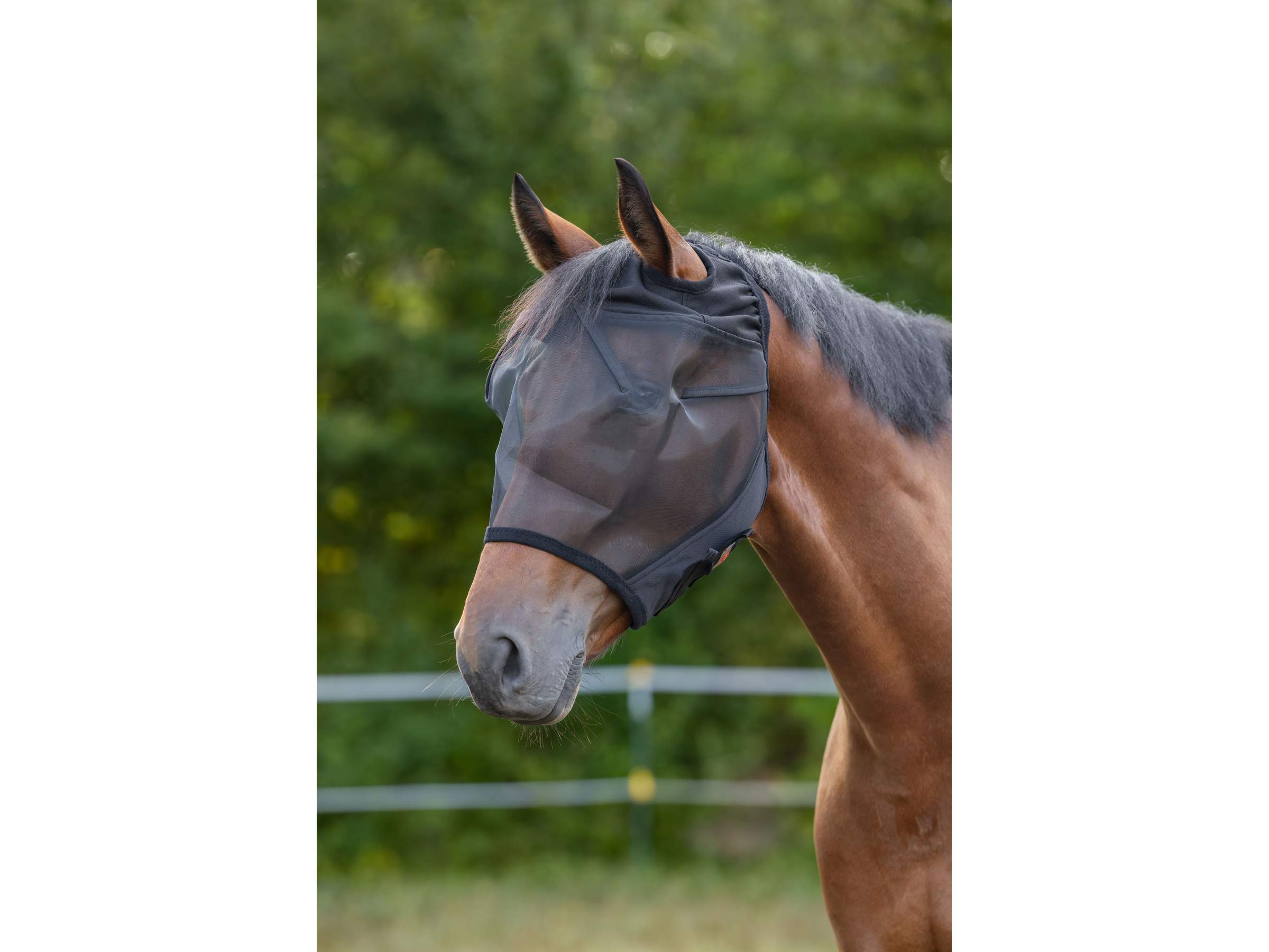 Masque anti-mouches - Image 1