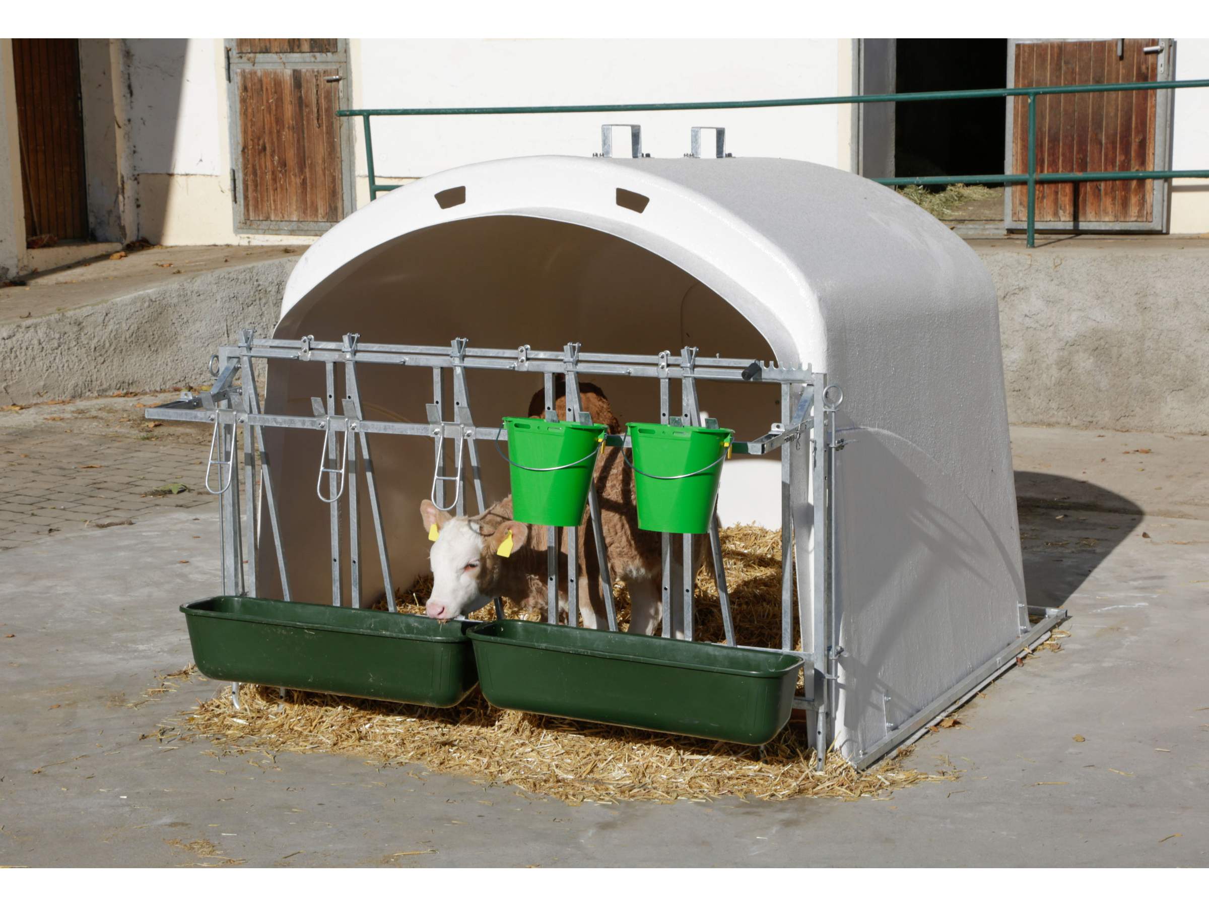 Gruppenkälberhütte mit Fressgitter CalfHouse Premium XL - Bild 1