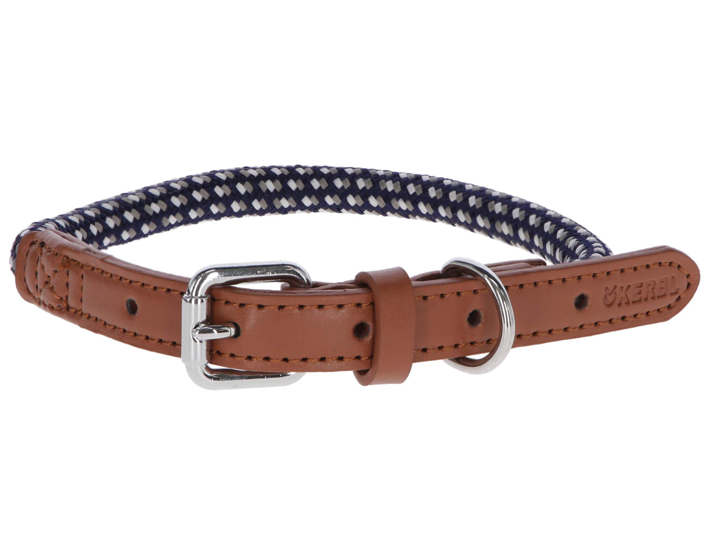 Collier pour chien Phoenix - Image 1