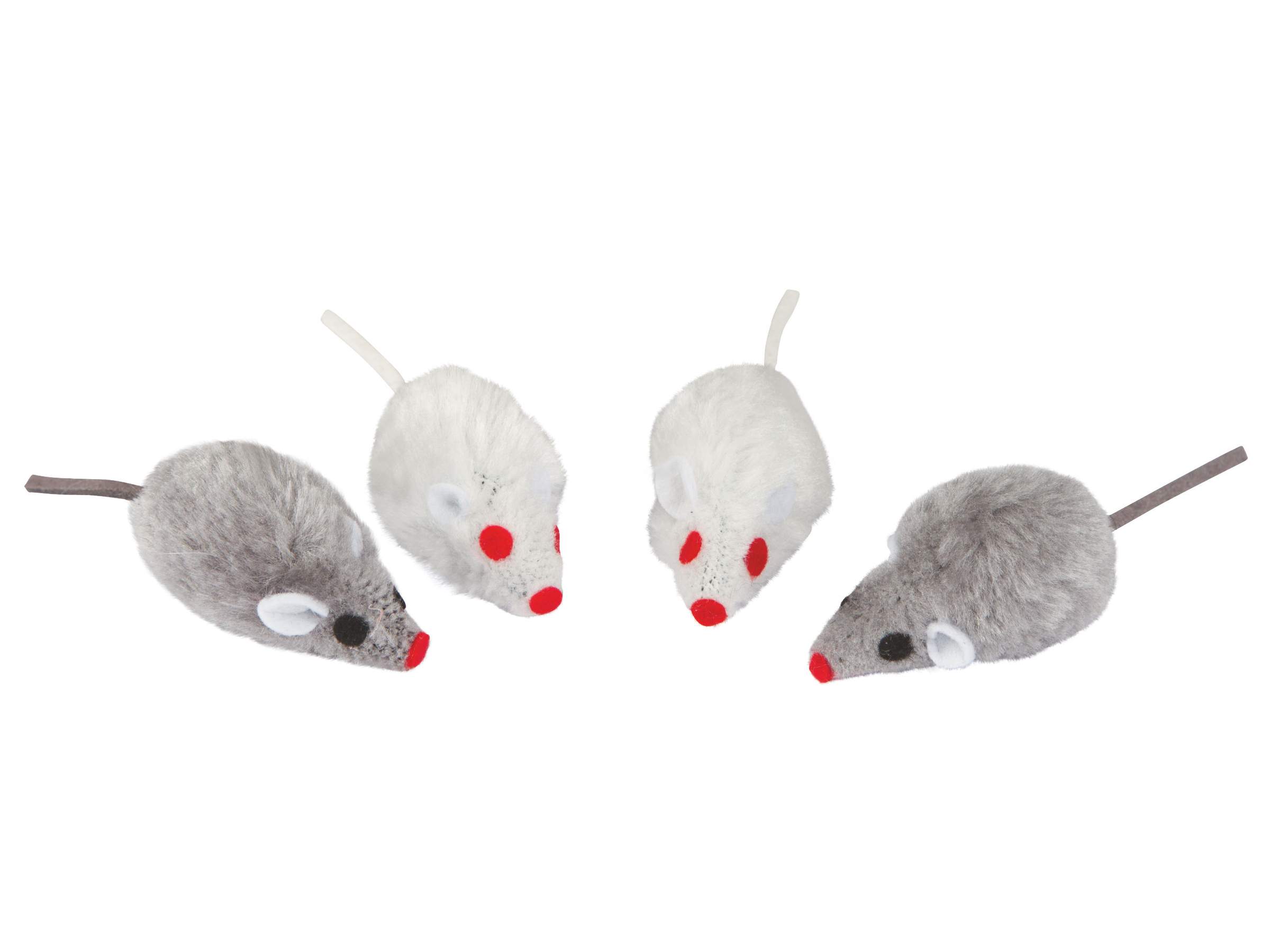 Souris à poils longs - Image 1