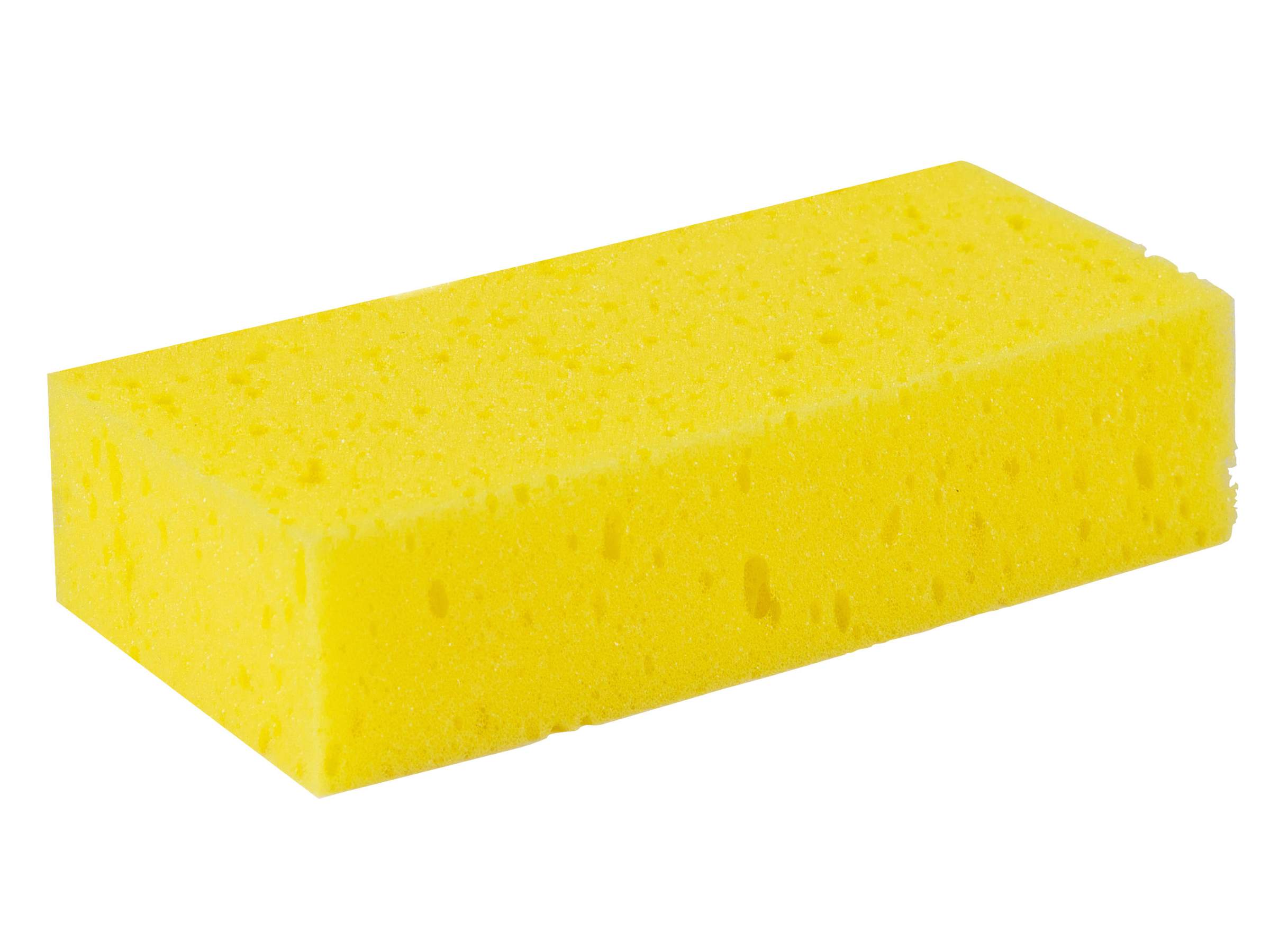 Putzschwamm - Bild 1